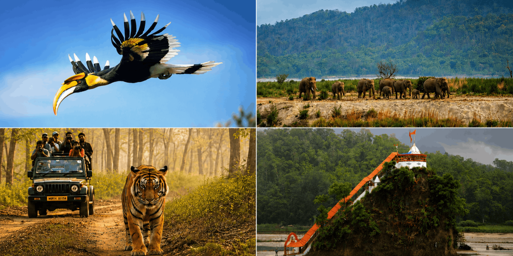 Jim Corbett Travel Guide