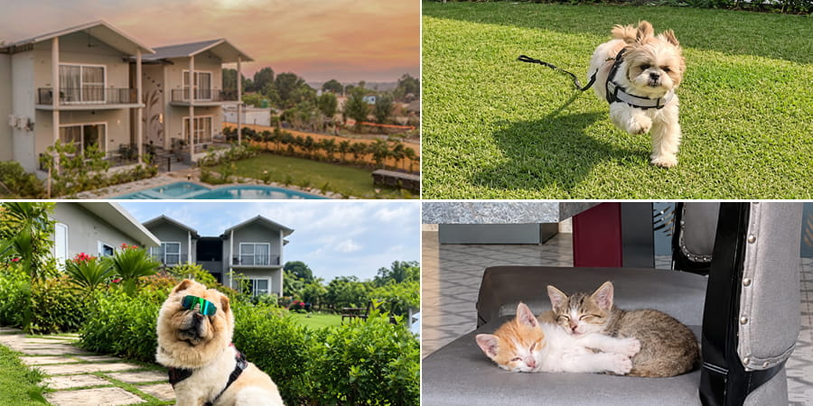 Pet-Friendly Stay in Jim Corbett