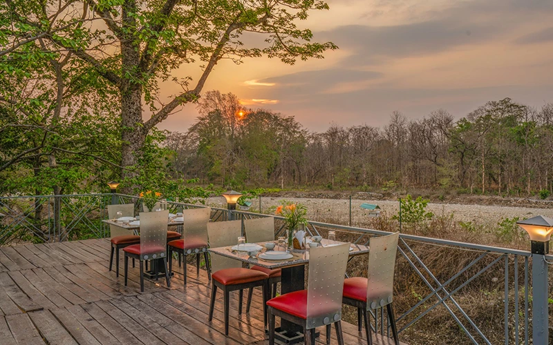 Wildlife stay experience at Srina Vilas resort Corbett